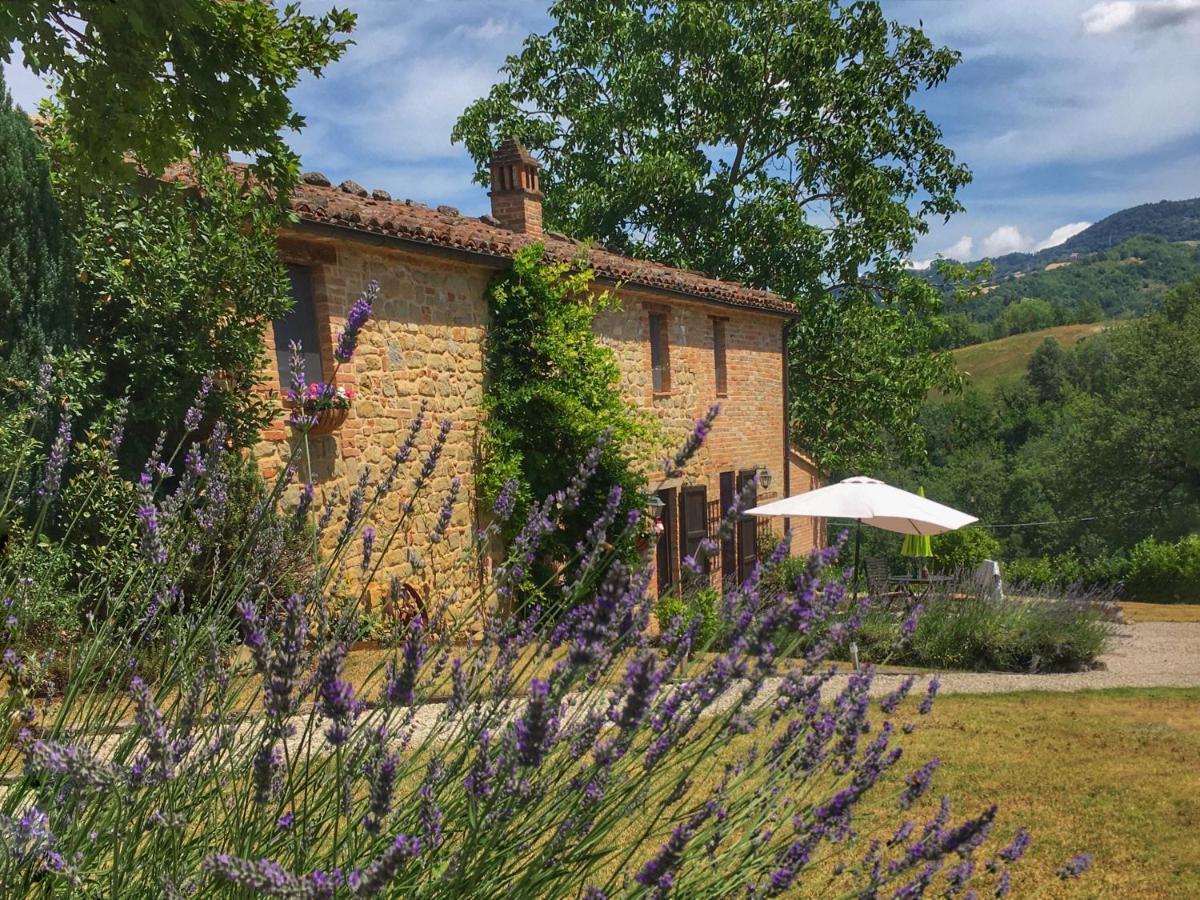 Aparthotel Il Nascondiglio - The Hideaway Amandola Esterno foto